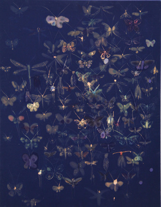 moth dark blue, 2014, 120 cm x 90 cm, 2014, bleach, dye, fabric stretched on wood-frame