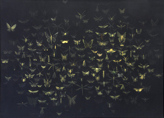 moth black, 2014, 160 cm x 140 cm, bleach, stretched fabric on wood-frame