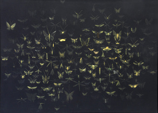 moth black, 2014, 160 cm x 140 cm, bleach, stretched fabric on wood-frame