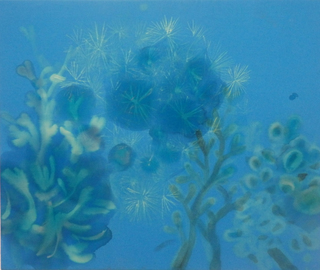 coral bleaching, 2016, 60 cm x 50 cm, bleach, dye on fabric
