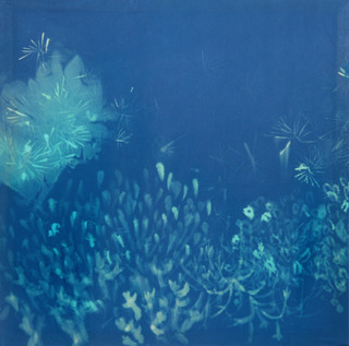 coral bleaching, 2016, 110 cm x 110 cm, bleach, dye on fabric