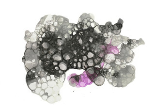 Cellularis, 2017, 40 cm x 60 cm, acrylic, ink on paper