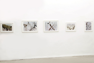 installation-view: 2013