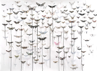 Moths, 2018, 150 x 220 cm, ink acrylic paint on paper