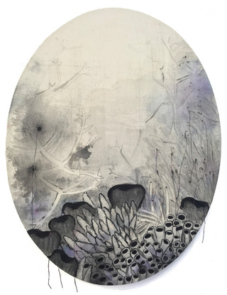 Black corals, 2019, 70 × 50 cm, graphite, embroidery, acrylic on cotton
